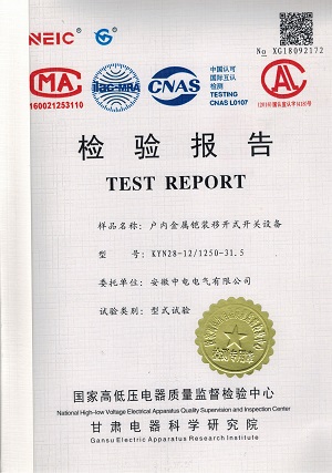informe de prueba tipo kyn8-12